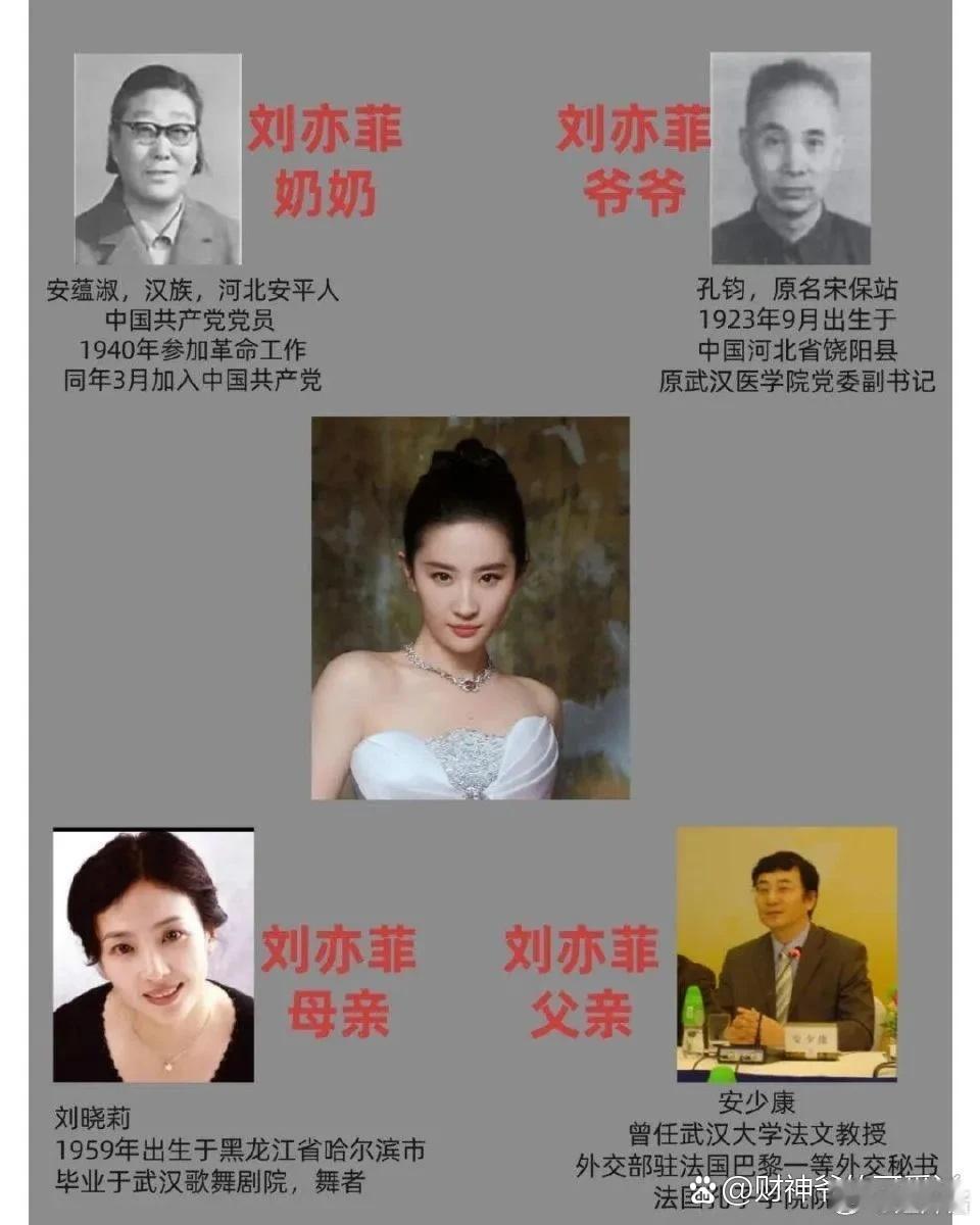 不是…没人觉得刘亦菲太可怕了吗？