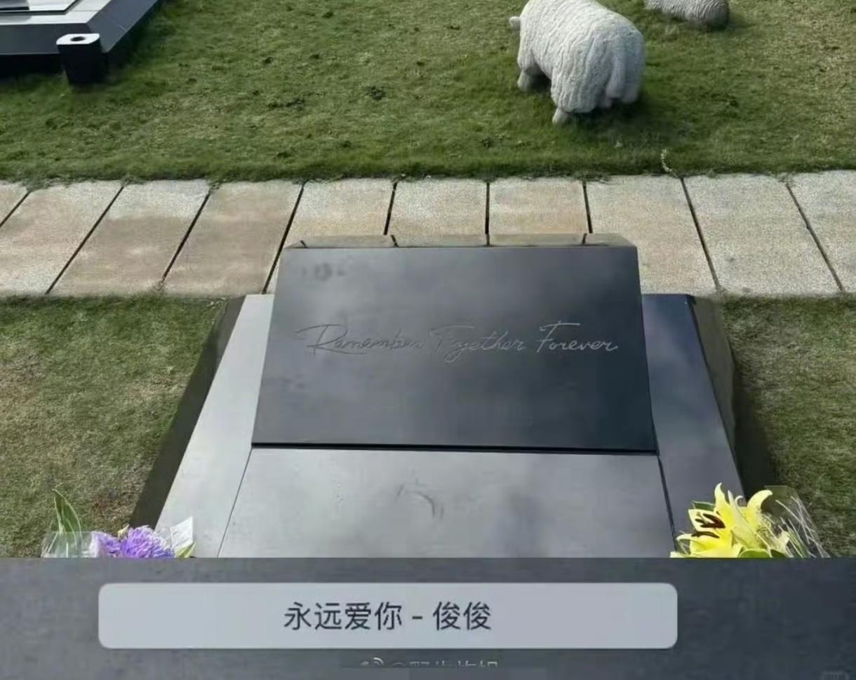 大S的墓碑上没有她的名字，雕像的介绍牌上没有她的生平。可这两个东西，却全都在突出