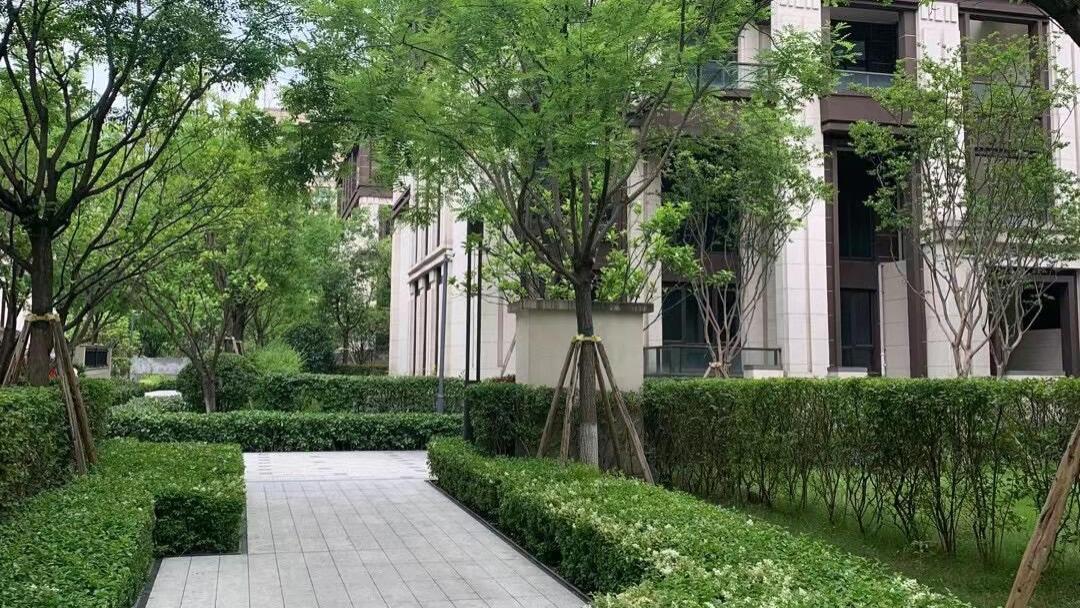 房子70年后归谁?国家明确回应,专家建议:房产证不要写夫妻名字