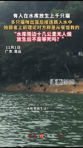 “严查到底！”11月1日，广东清远，一男子在水库钓鱼时，突然听到对岸有响动，还能