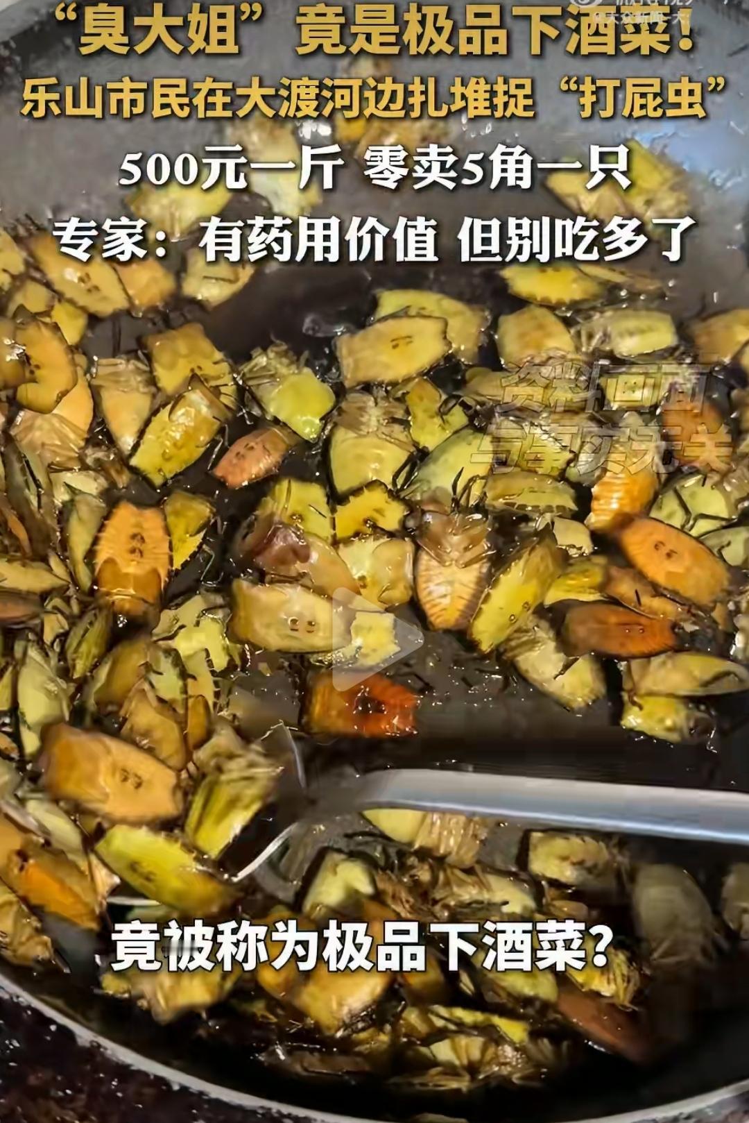 “臭大姐”可以吃，但不要多吃最近，四川乐山大渡河边出现了一群特殊“渔民”——他