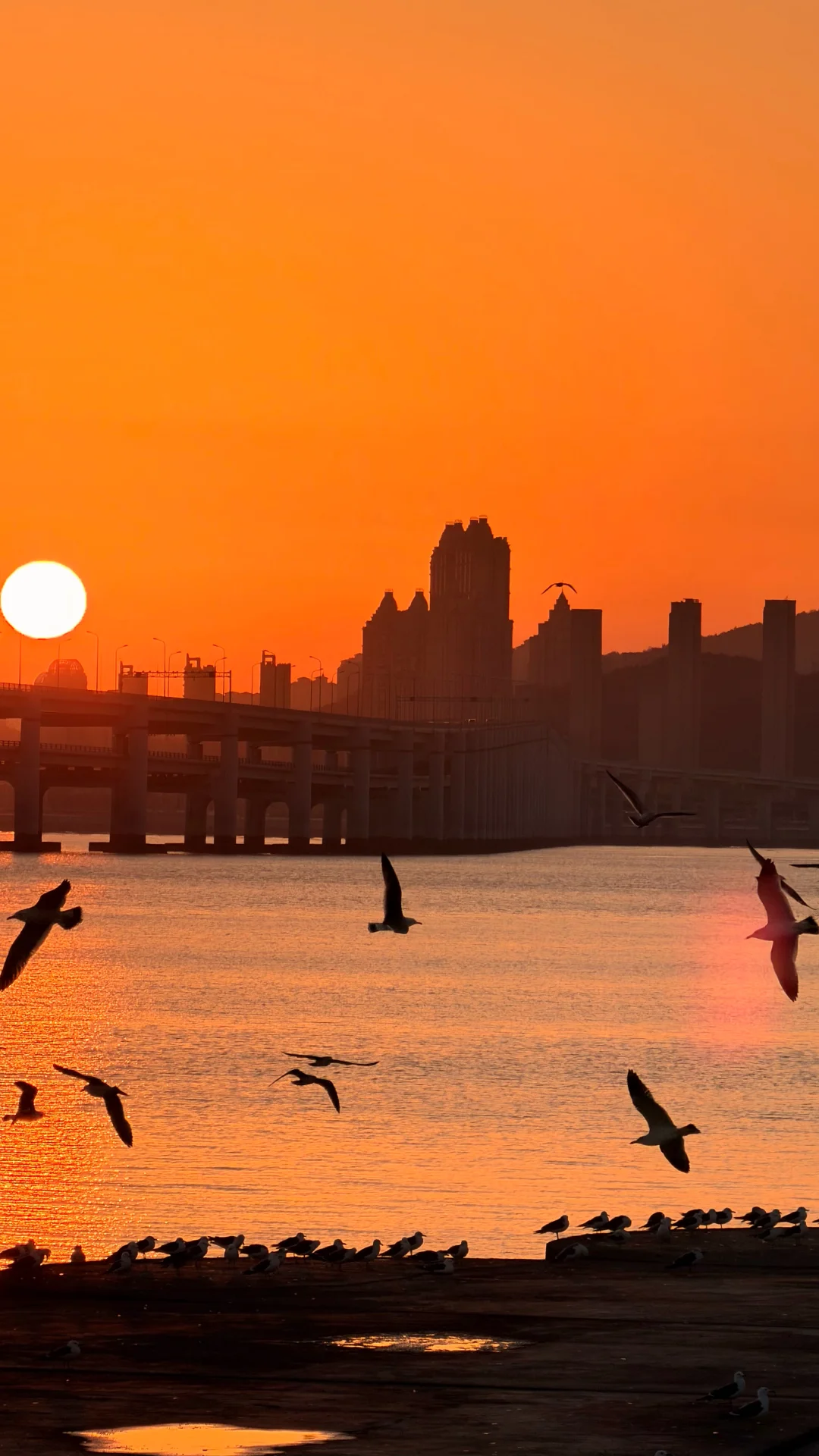 幸好 我们都还有看日出日落感到幸福的能力