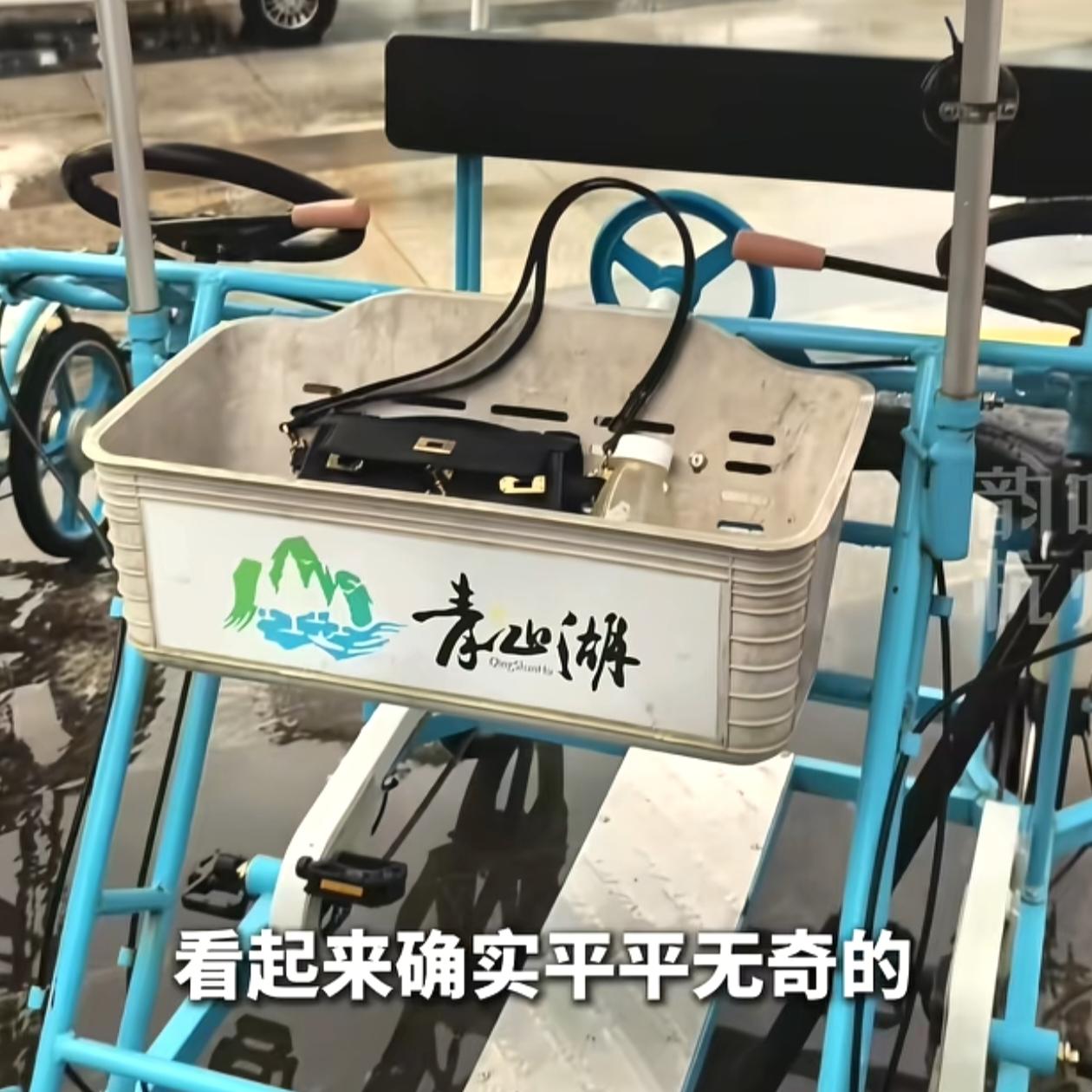 2026年8月28日，杭州临安青山湖景区发生一起贵重财物遗失事件。一名游客在景区