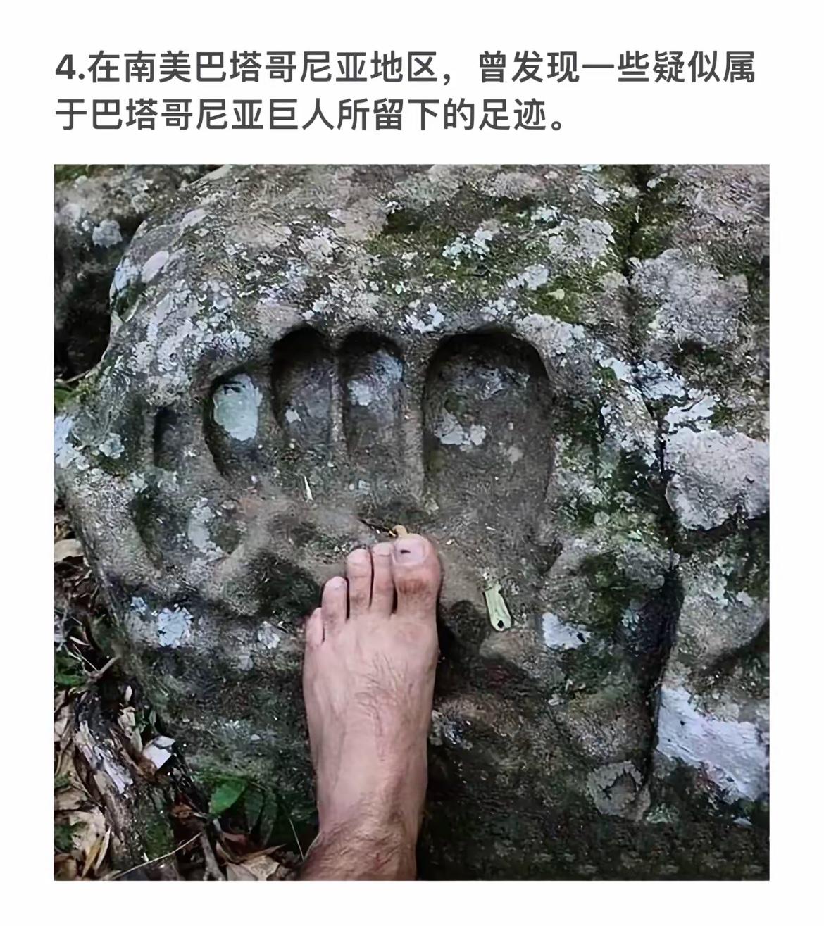 巴塔哥尼亚巨人的足迹，探秘神秘古文明！