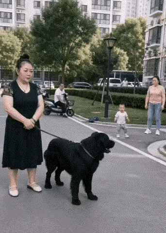 这个太危险了，怎么，大姐没反应的吗？