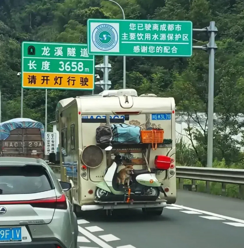 交警叔叔估计头都大了，这管还是不管好啊。