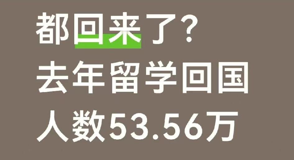 都回来了，2025年出国留学57万人，回国53.56万！八十年代出国留学的，