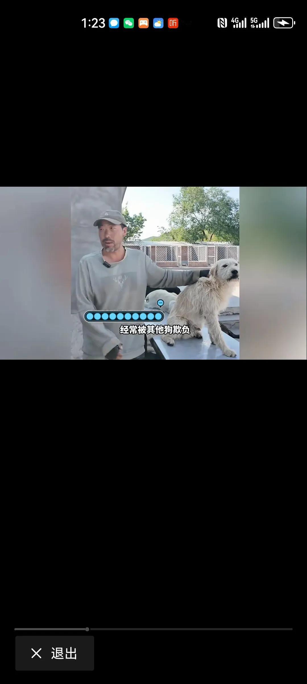 下司犬狗王，儿时的厮杀，换来掌控全局，统治众狗。正如查理芒格说过的那句话，在狗的
