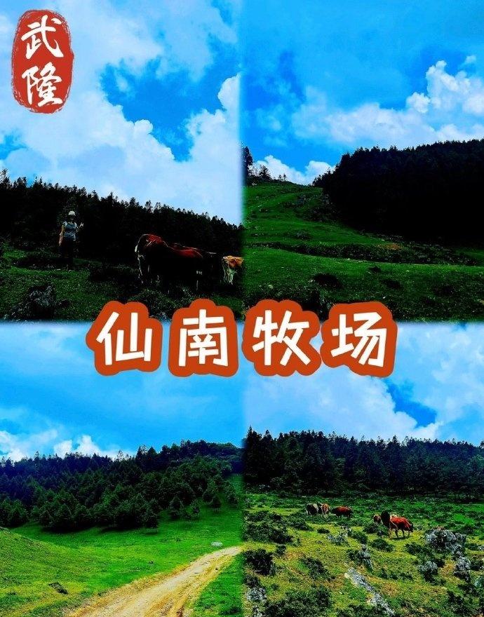 【武隆仙南牧场徒步攻略】难度：⭐️推荐：⭐️⭐️⭐️⭐️⭐️徒步在海拔1