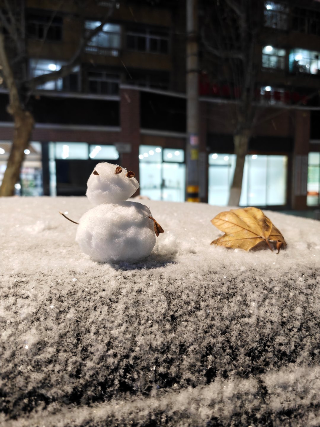 2025道个别GoodorBadBye