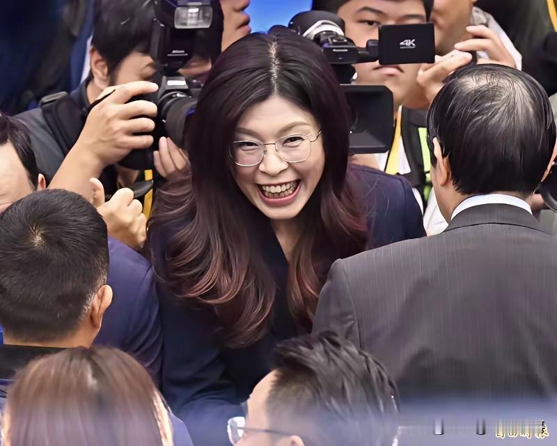 怀疑这家伙是专门来搞垮国民党的，2026年是国民党内部分裂年，然后县市长选举大失