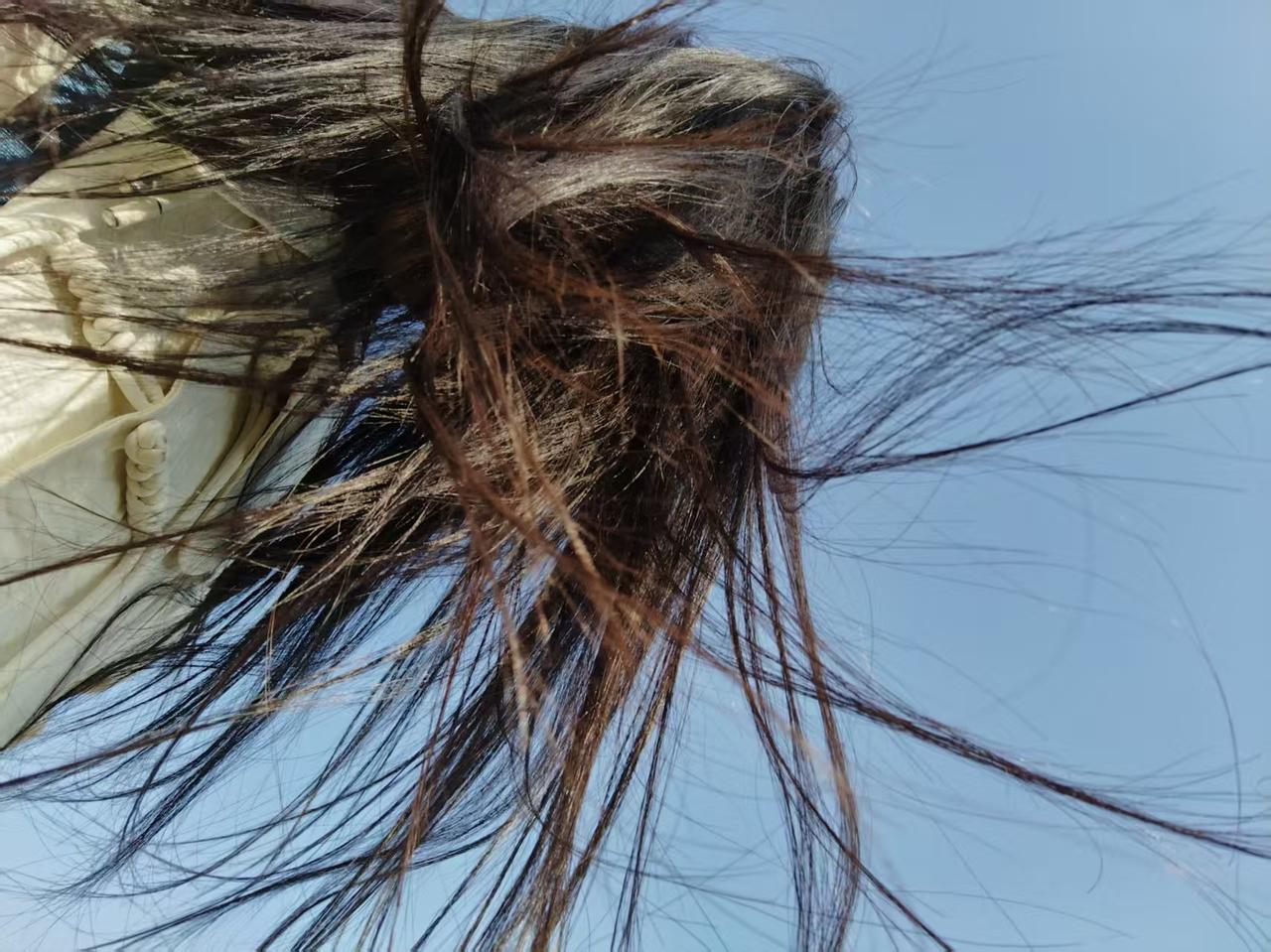 紫微斗数文昌星五行属金，是男星，而文曲是女星，表示文学名声，票证票据，以及主