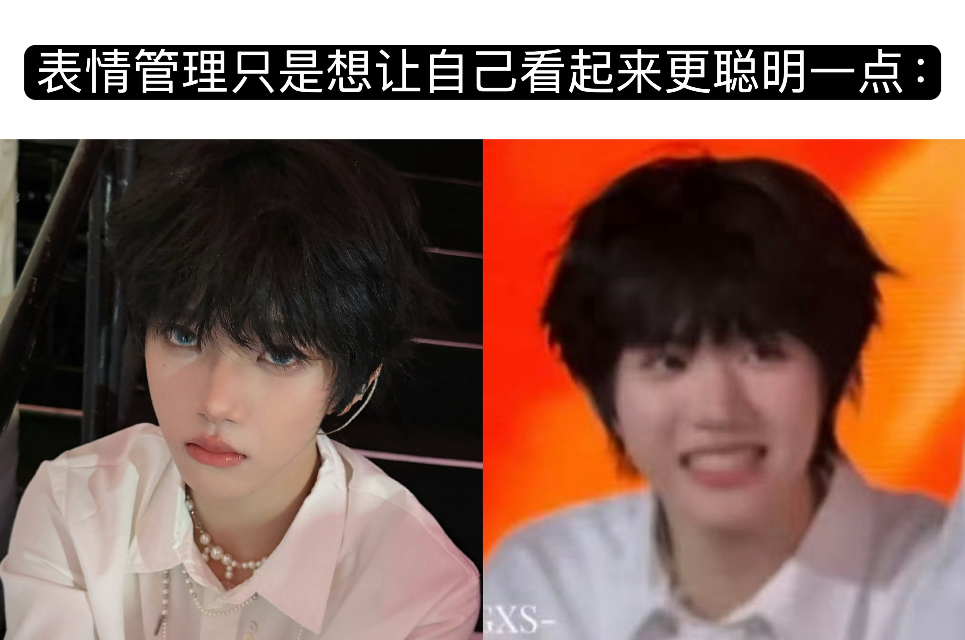 张函瑞🐱表情管理只是想让自己看起来更聪明一点：专栏·萌图·猫手册