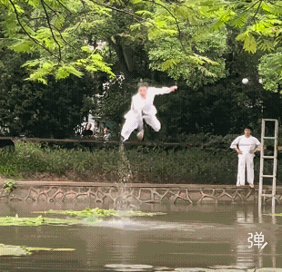 看着挺心疼的，头朝下栽进泥塘里挣扎了几下才上来![祈祷]