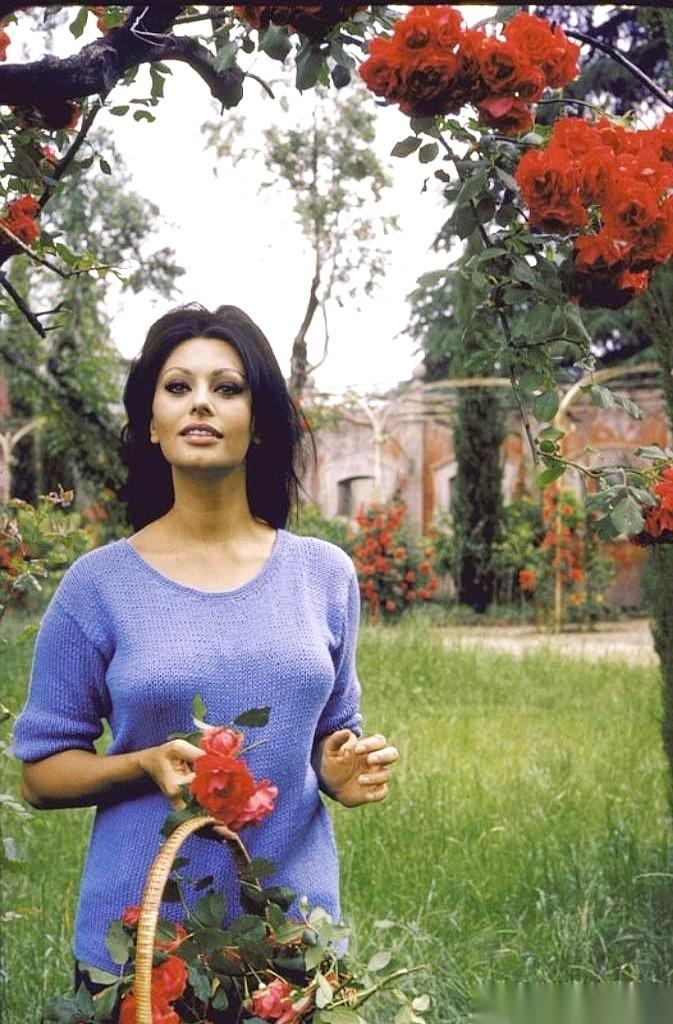 “不，再也不会了，再爱其他人是不可能的。”刷到这句话，心里咯噔一下。这是索菲