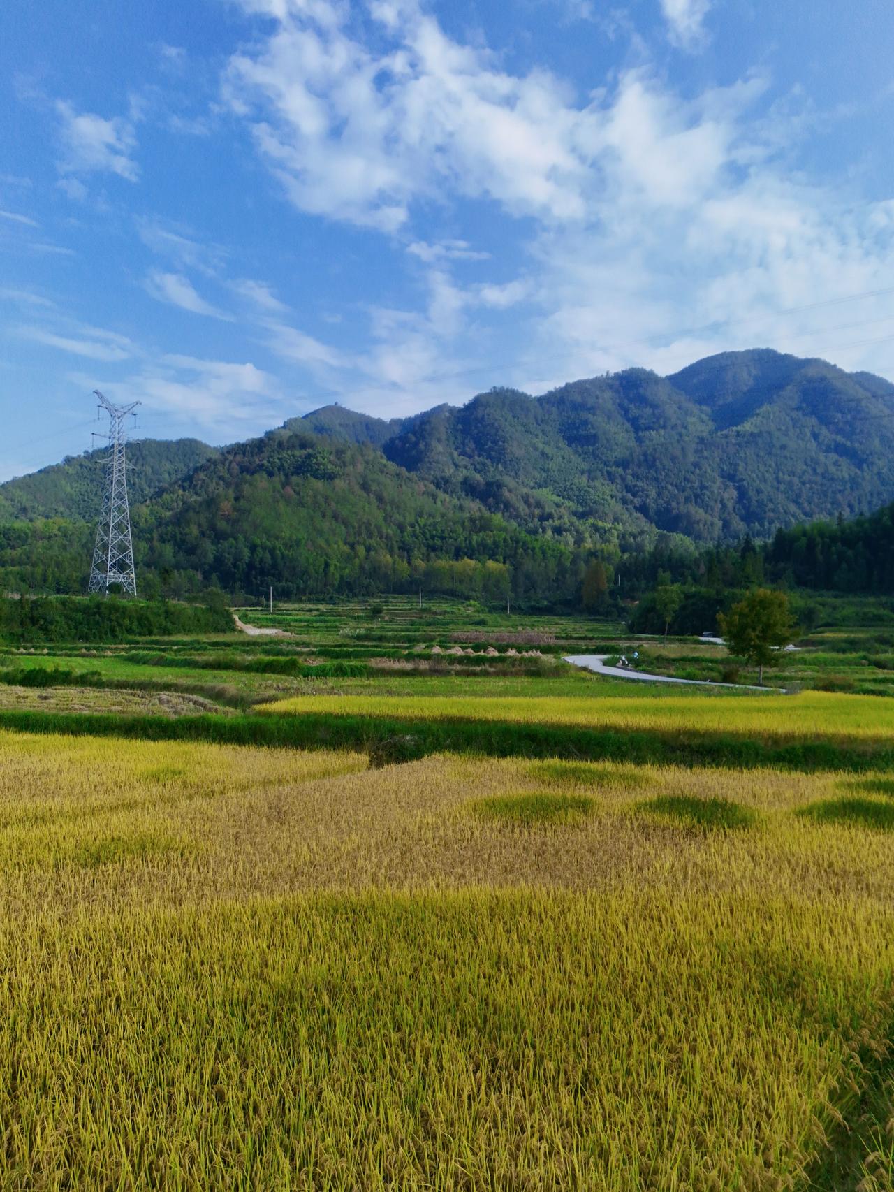 昨天，跟一个高三的学生家长聊天，高三的学生家长跟我说他想找一个博士生给他家的孩子