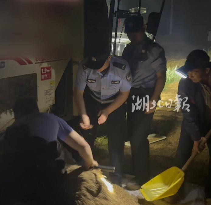暴雨预警临近，湿麦卡死收割机，襄阳民警通宵下地徒手抢卸六千余斤小麦。 每年五