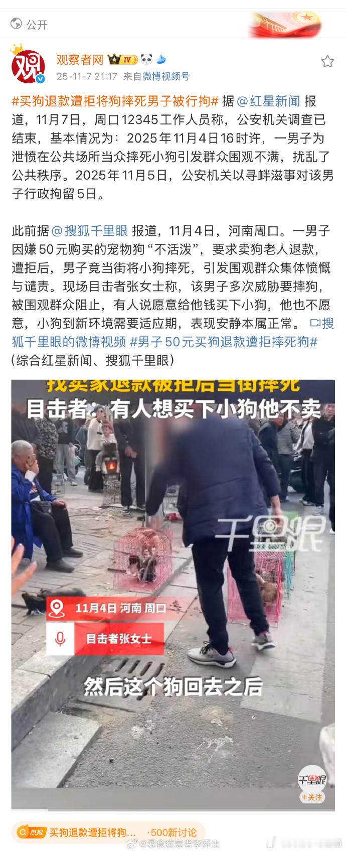 这地方的小动物保护工作做得很出色啊。