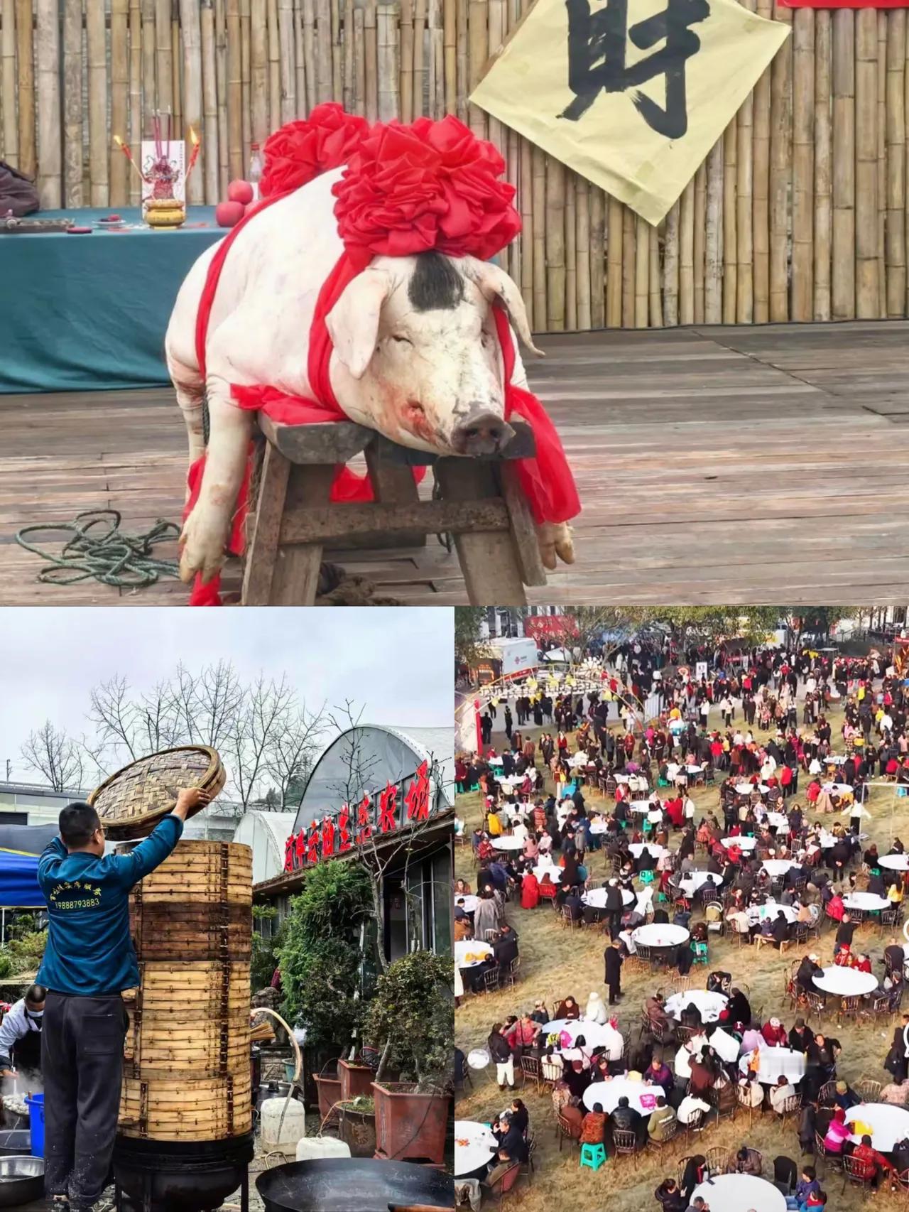 呆呆虽然火了，但是后遗症随之而来了！最离谱的不是合川文旅搞分会场，而是那些倒