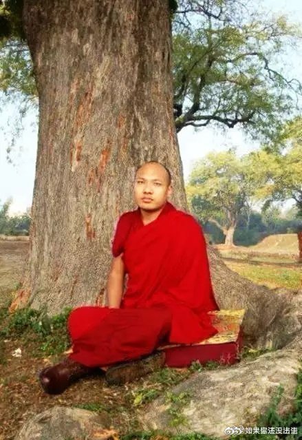 大宝法王超话  佛陀开示了八万四千法门，我们的上师、法师们也常常都在讲...