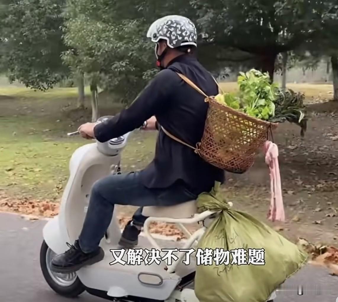 毛豆电动车全民吐槽后下架：是合规翻车，还是商家的“饥饿营销”套路？近日一款名为