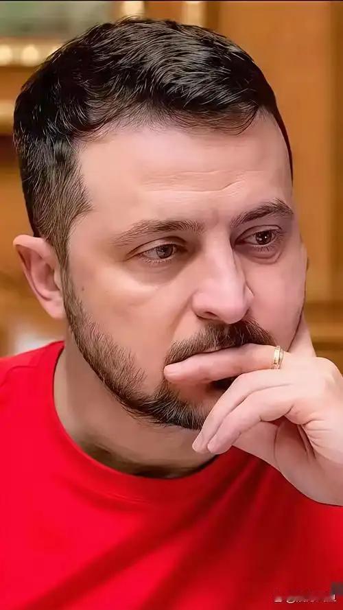 打了快四年，死了几十万人，国都快打没了。然后人家告诉你：“我们从没承诺过让你们