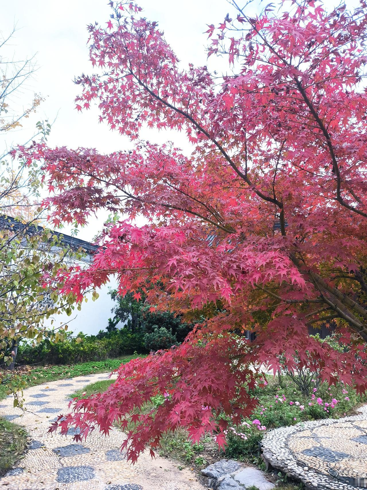 一位高人一句话把我干懵了。他说，普通老百姓的孩子，即便考到机关，比起那些父母原来