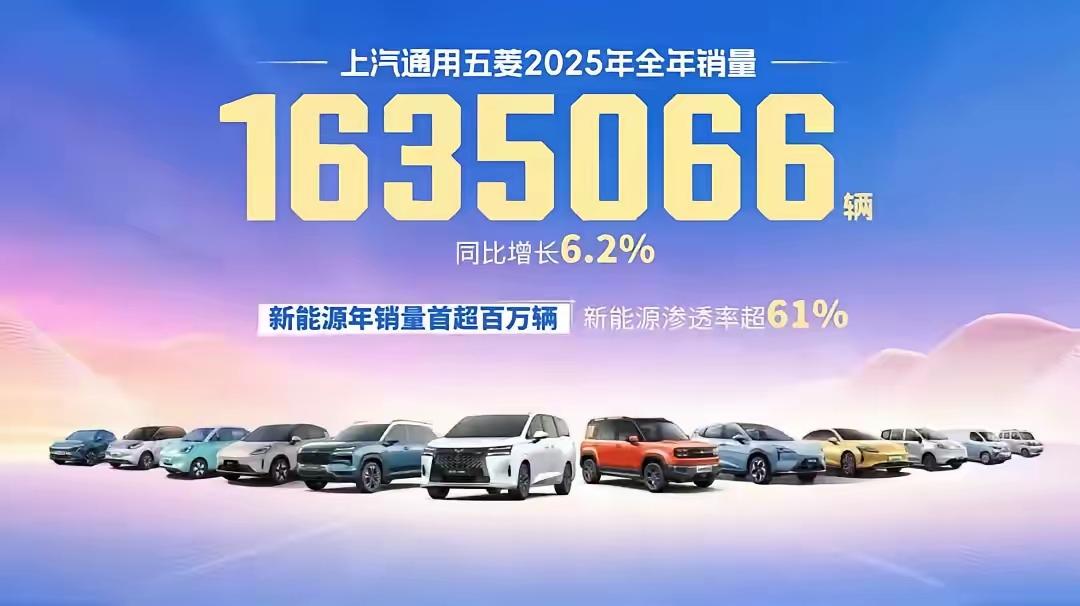 这就是赤裸裸的现实啊！有车的家庭：6％，选50万元以上的车；12％，选