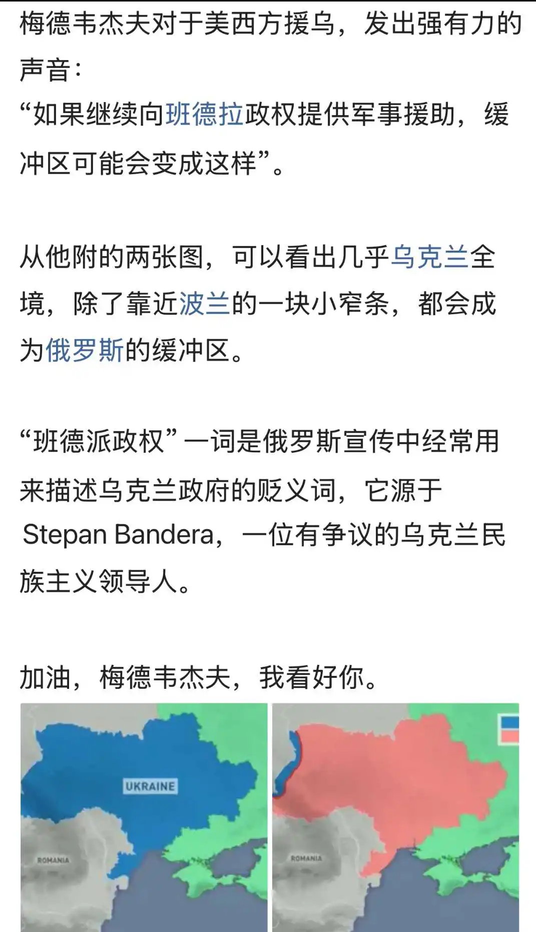 梅德韦杰夫，色厉内荏！！