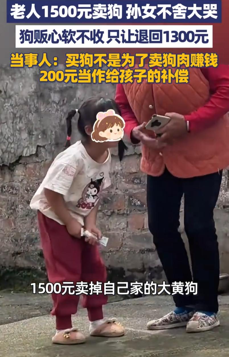 破防了！广西桂林，一狗贩去村里面收狗，老人一听家里的大黄狗能卖1500块钱，立刻