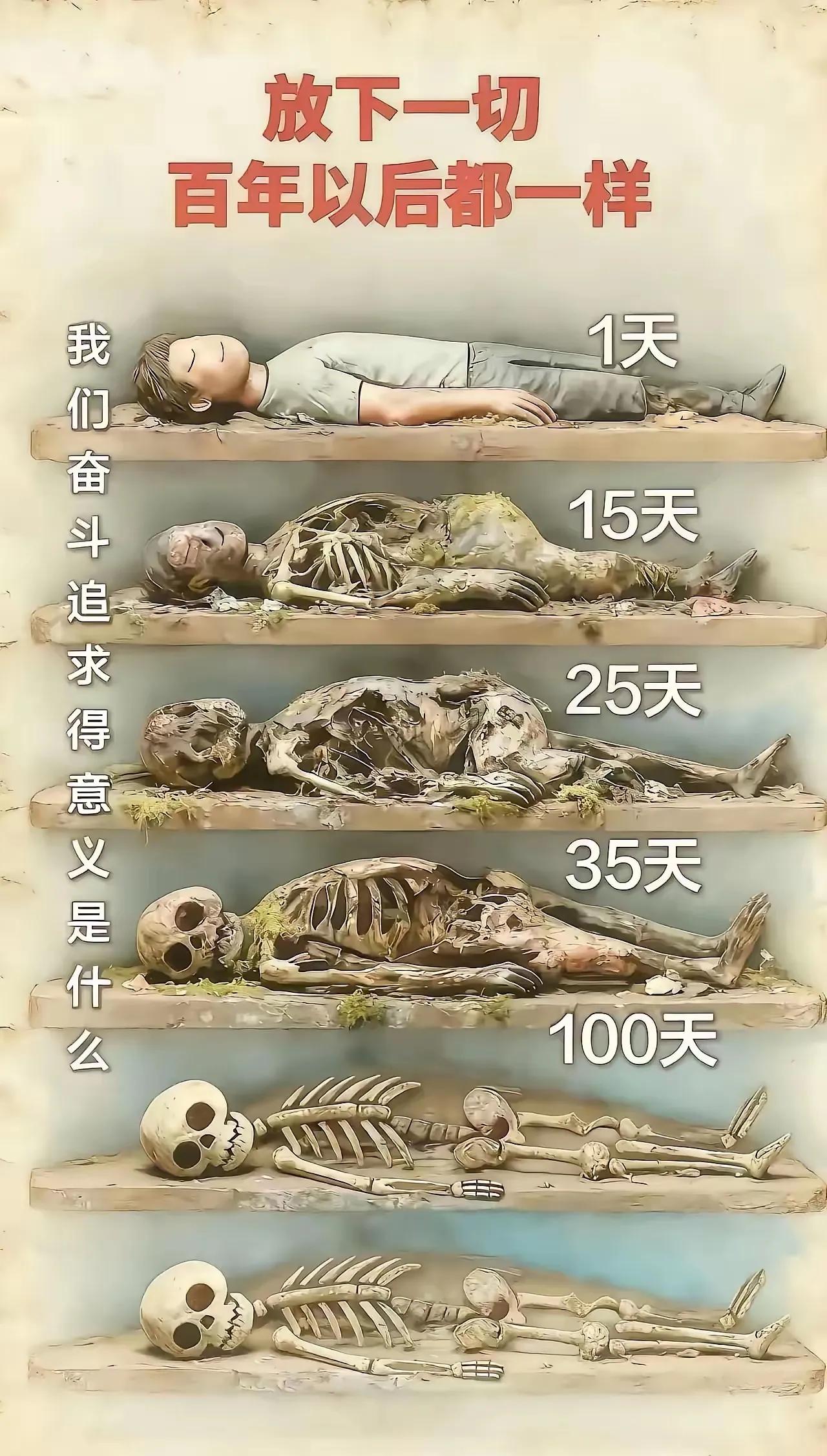 别再追求公平了，看淡一切，放下一切，好好的享受短暂的几十年人生吧！百年以后，大家