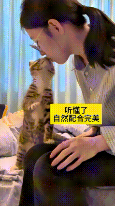这个视频我翻来覆去看了好几遍，真可稀罕这个主人跟他家小猫了。不少人总说猫咪身上脏