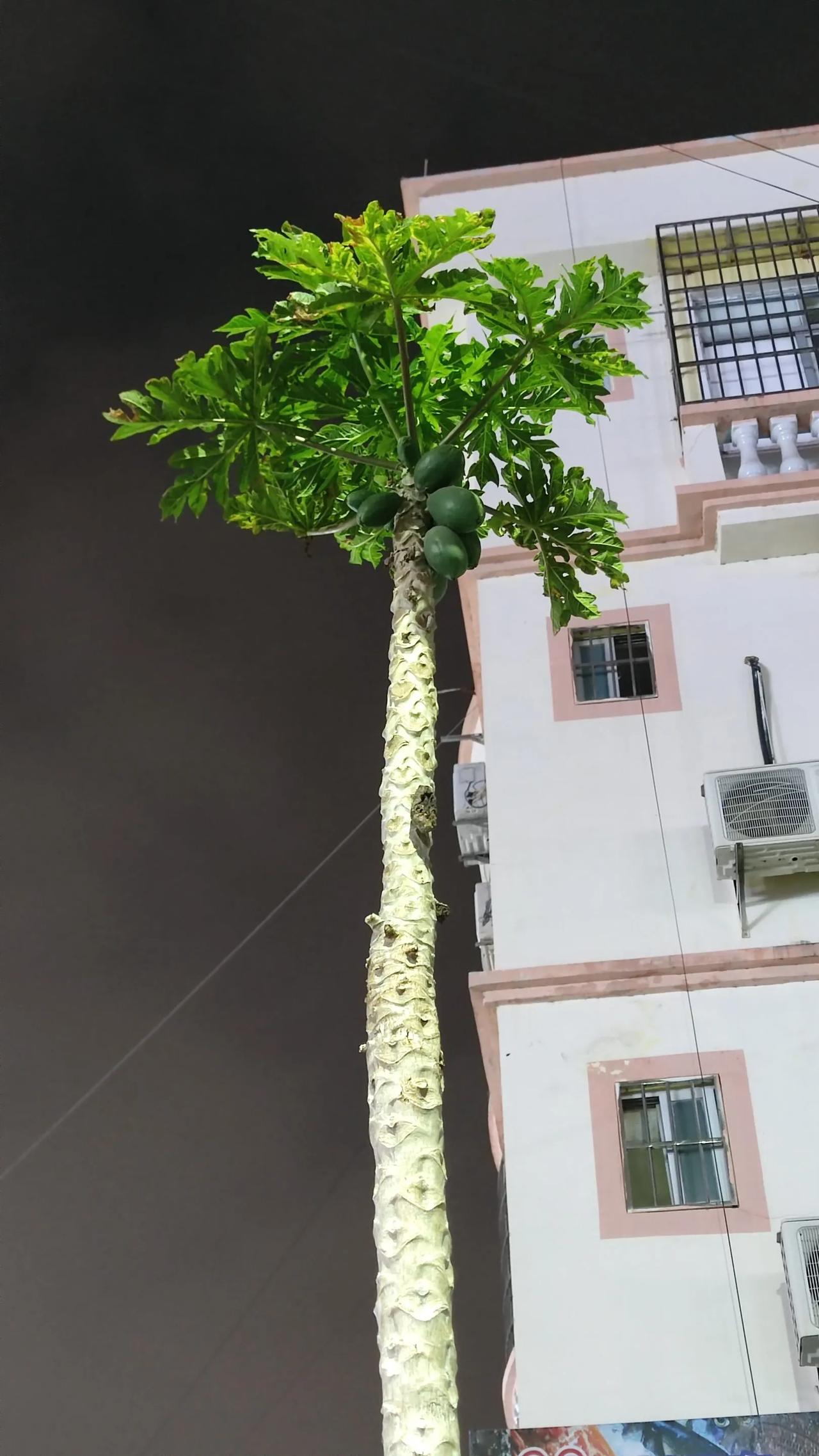 在北海买房多是退休老年人，利弊具体来说说。在北海买房作为退休老年人的养老选择，
