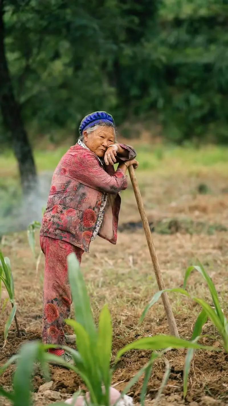 被几万块困住的农村人：他们的苦难，你想象不到！我是土生土长的农村人，见惯了身