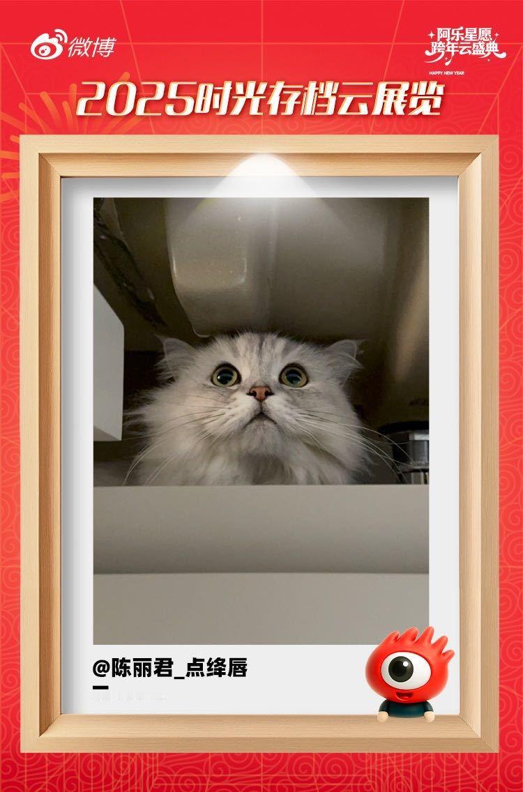 陈丽君的库存照是小猫组团去陈丽君家撸猫猫奴君君上线！在阿乐云展览放出的2025