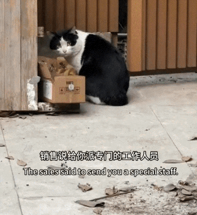 贵州一女子买了套新房，不料，住进去第1天，就发现了老鼠，这让她很不满意，立马给销