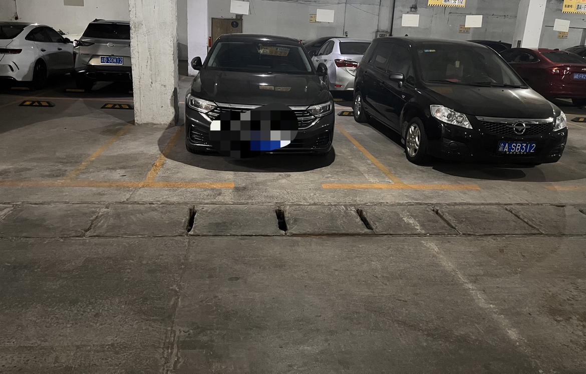 速腾这车到底行吗？