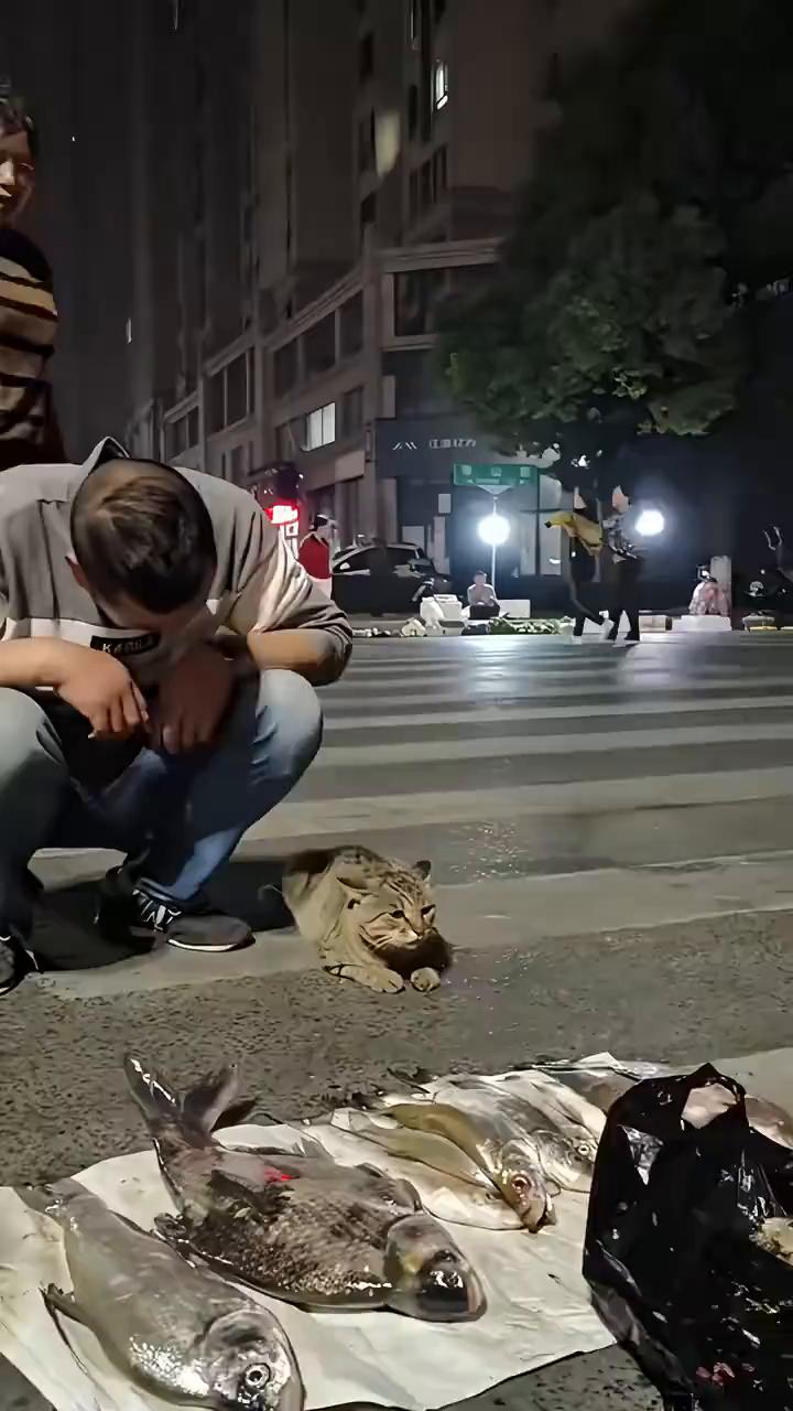 哈哈哈。