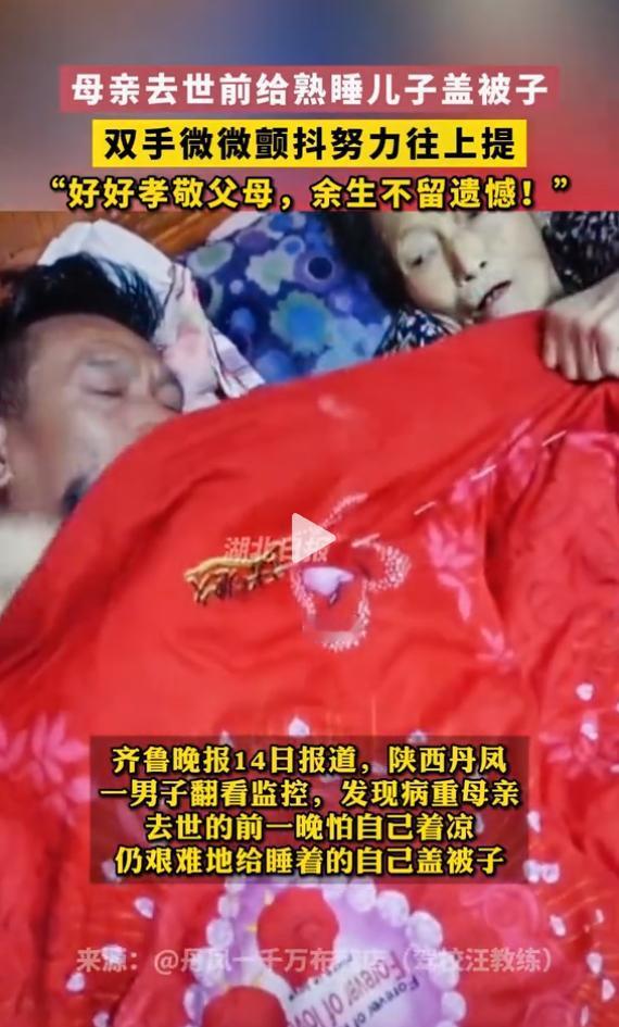 14秒监控，看哭千万中国人！这不是电影，是2023年陕西丹凤县真实发生的一幕。一