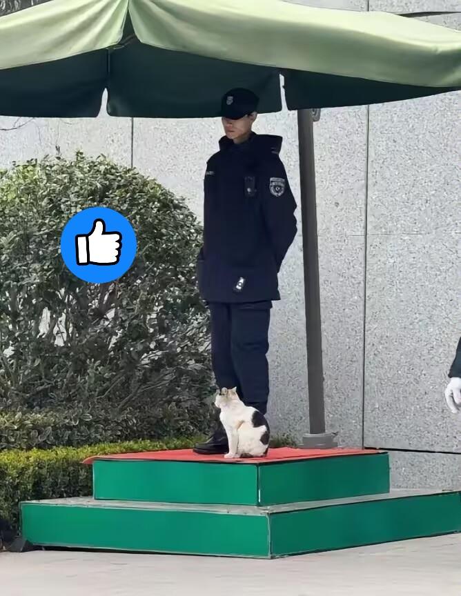 我特别欣赏邻居的儿子，一个普通二本的毕业生，投了上百份简历都石沉大海，但他没有在