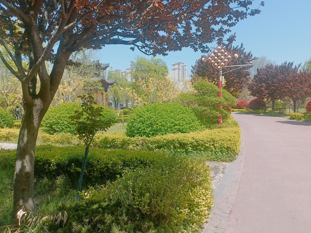 春意盎然，景色迷人