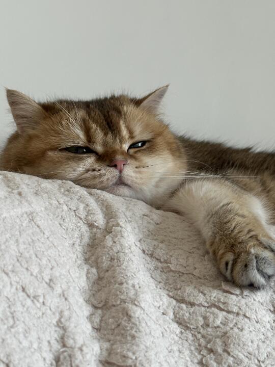 不想上班