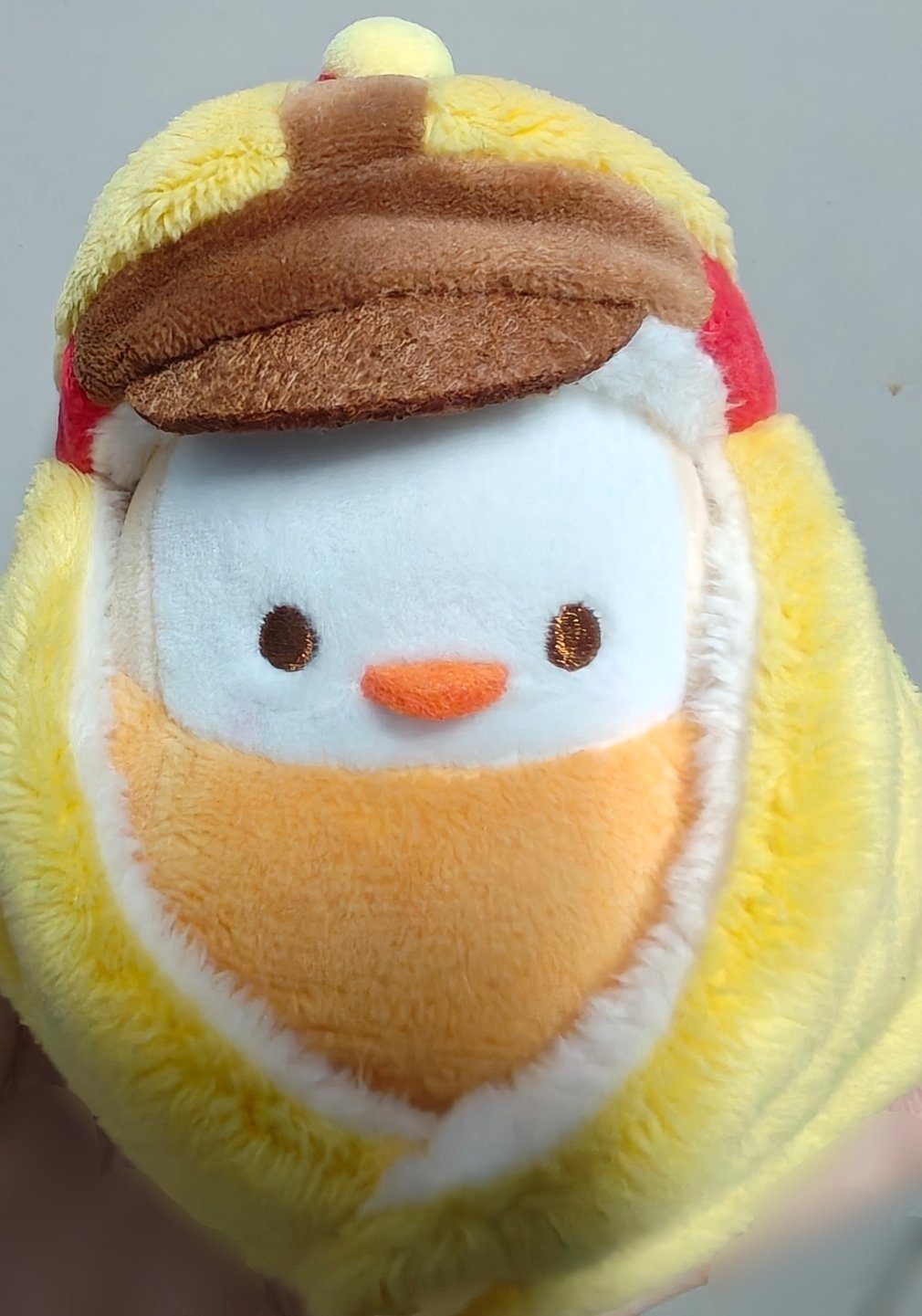 经常陪我走南闯北出差的小黑和小黄