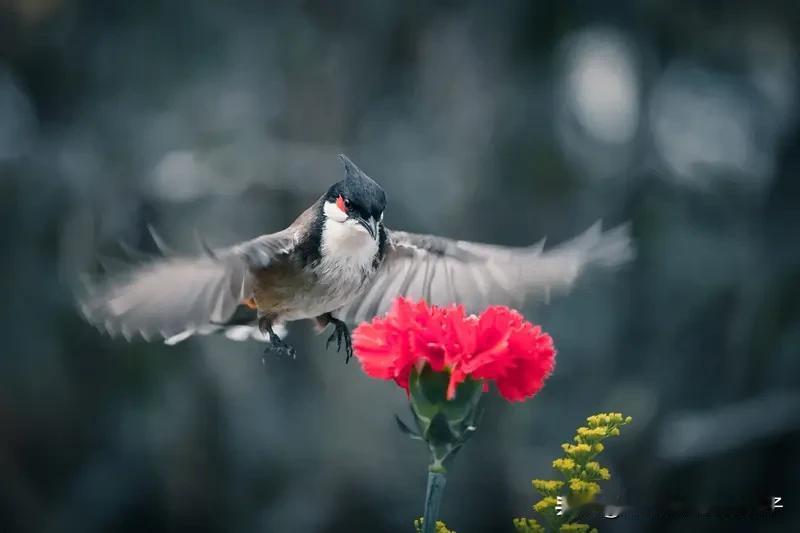 看到“春风飞花处处香”这个上联，瞬间就来了兴致。这上联描绘了春天里春风吹拂、花朵