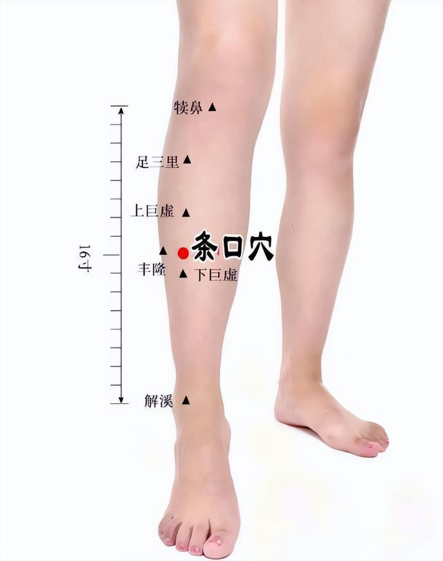 条口+承山：肩周炎的特效穴