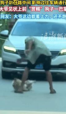 “笑不活了！”8月12日贵州一小狗，悠然自得的卧在马路中间，导致来往车辆堵塞，一