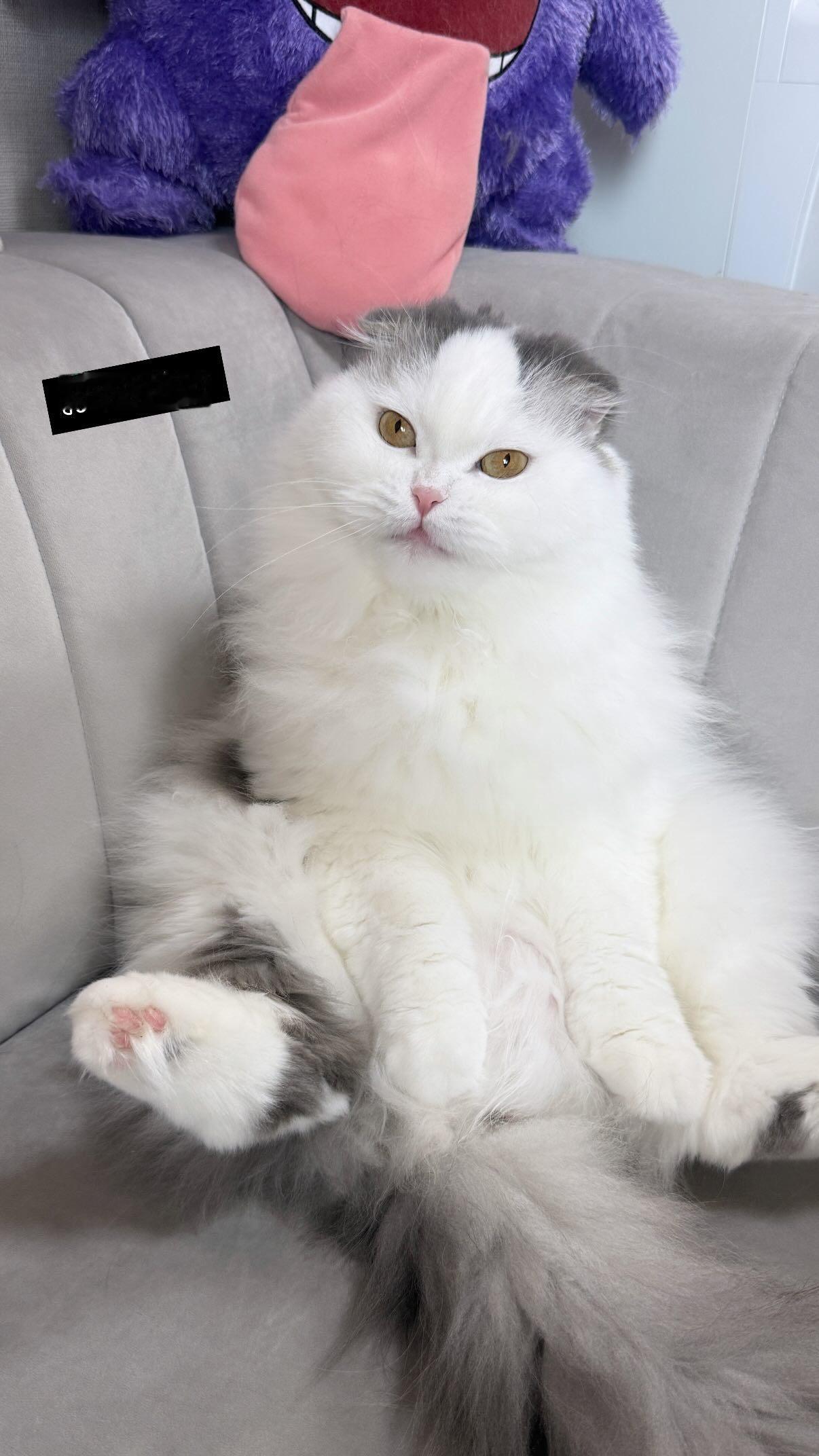 吉田綾乃クリスティー