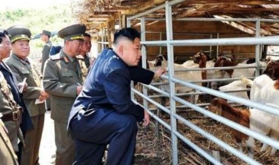 朝鲜人为何很少吃猪肉？稀缺背后的现实与韧性