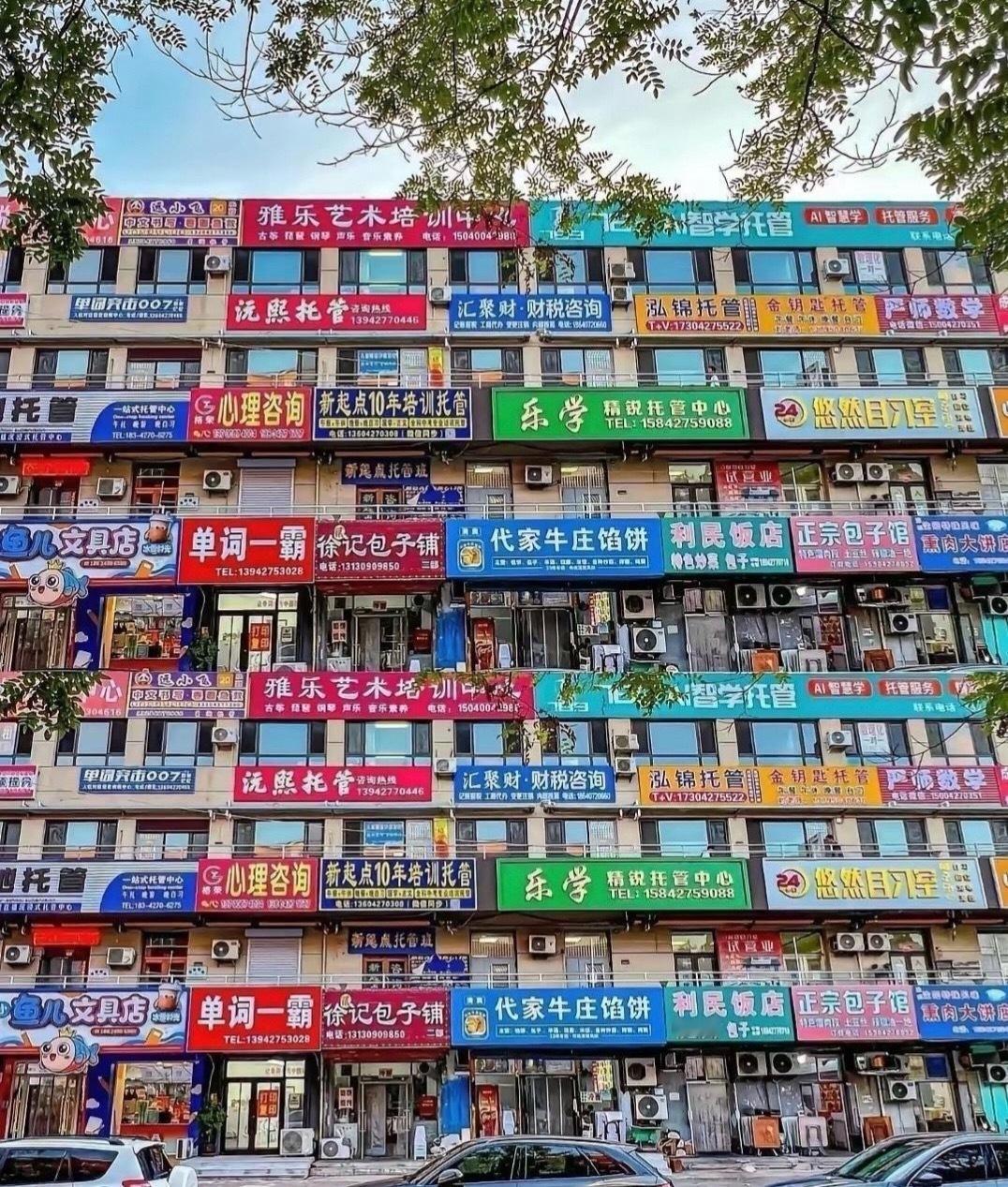 这栋楼的房东可以躺平了吧​​​