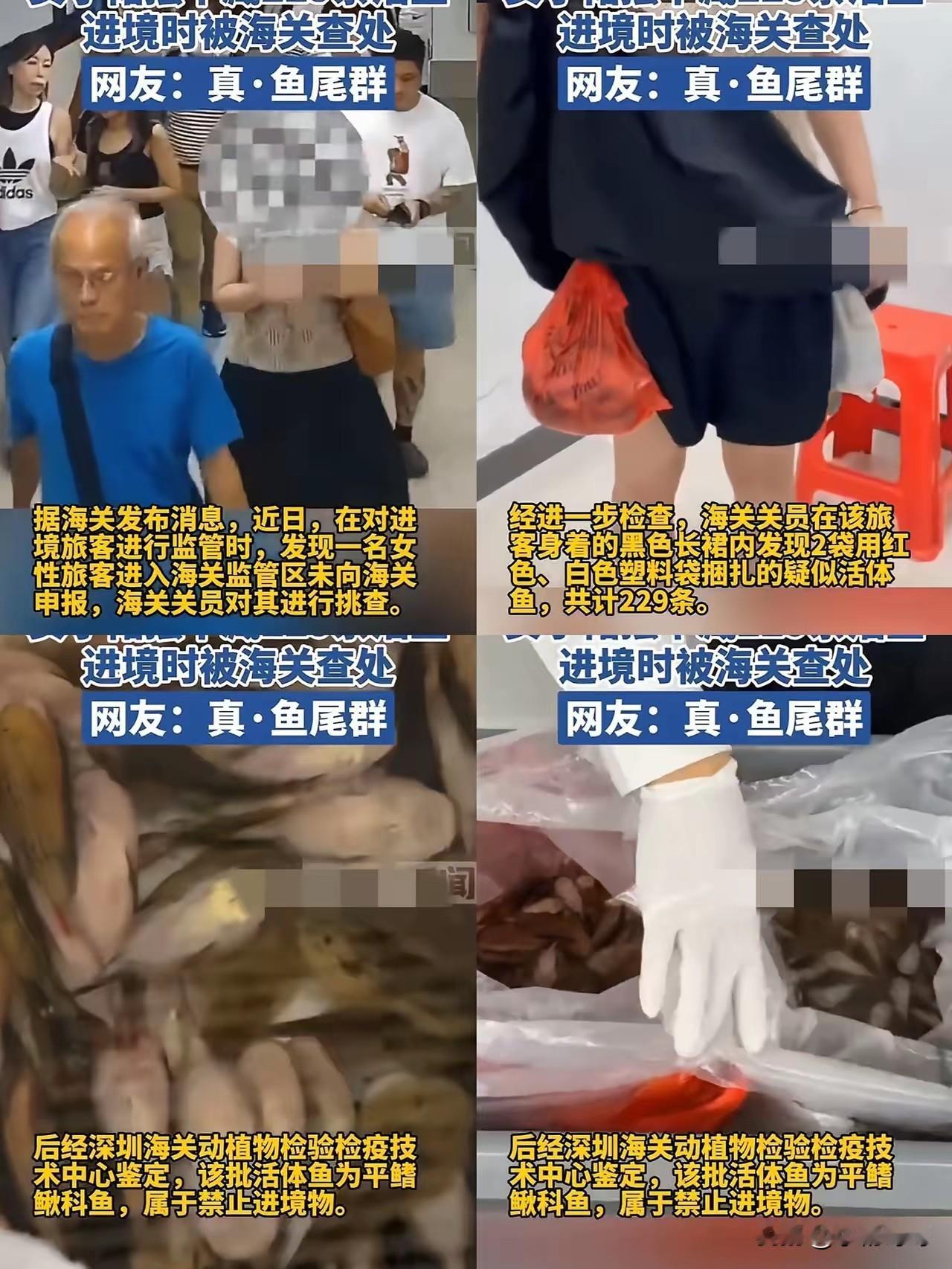 现在全网最后悔的女人就是那位穿黑色长裙的旅客了吧！不是因为被海关查获，也不是